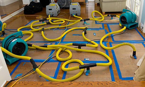 Professional Burst Pipe Water Damage technician working in Royal City, WA